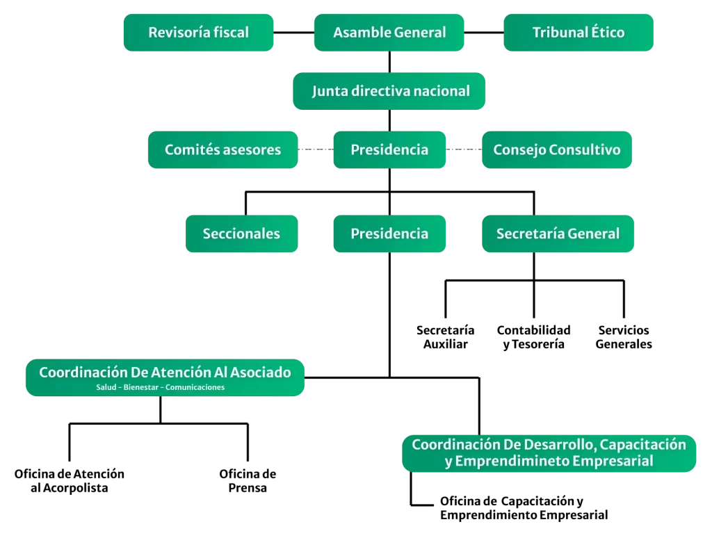 Quiénes Somos -Organigrama